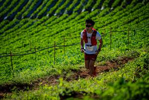 BIB: 214
                            <button type="button" onclick="openModal(19161034)" class="btn btn-primary btn-sm float-right btn-popup" data-toggle="modal" data-target=".modal-high-quality">
                        <i class="fas fa-shopping-cart"></i> Add to Cart
                    </button>
                                            <button type="button" onclick="isThisMe(19161034, true)" class="btn btn-success btn-sm float-right btn-popup btn-isme hidden" data-toggle="tooltip" data-placement="bottom" title="นี่คือรูปของคุณใช่ไหม คลิกที่นี่เพื่อเอาเข้าอัลบั้ม">
                        <i class="fas fa-plus"></i> Add to album
                    </button>
                    <button type="button" onclick="isThisMe(19161034, false)" class="btn btn-warning btn-sm float-right btn-popup btn-isnotme hidden">
                        <i class="fas fa-ban"></i> Remove from album
                    </button>